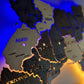 Ukraine LED map on acrylic glass with backlighting  between regions color Brut