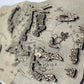 The Middle-earth map, in Grey color, 50x28 cm