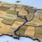 The USA 3D map with rivers and roads color Light Tree