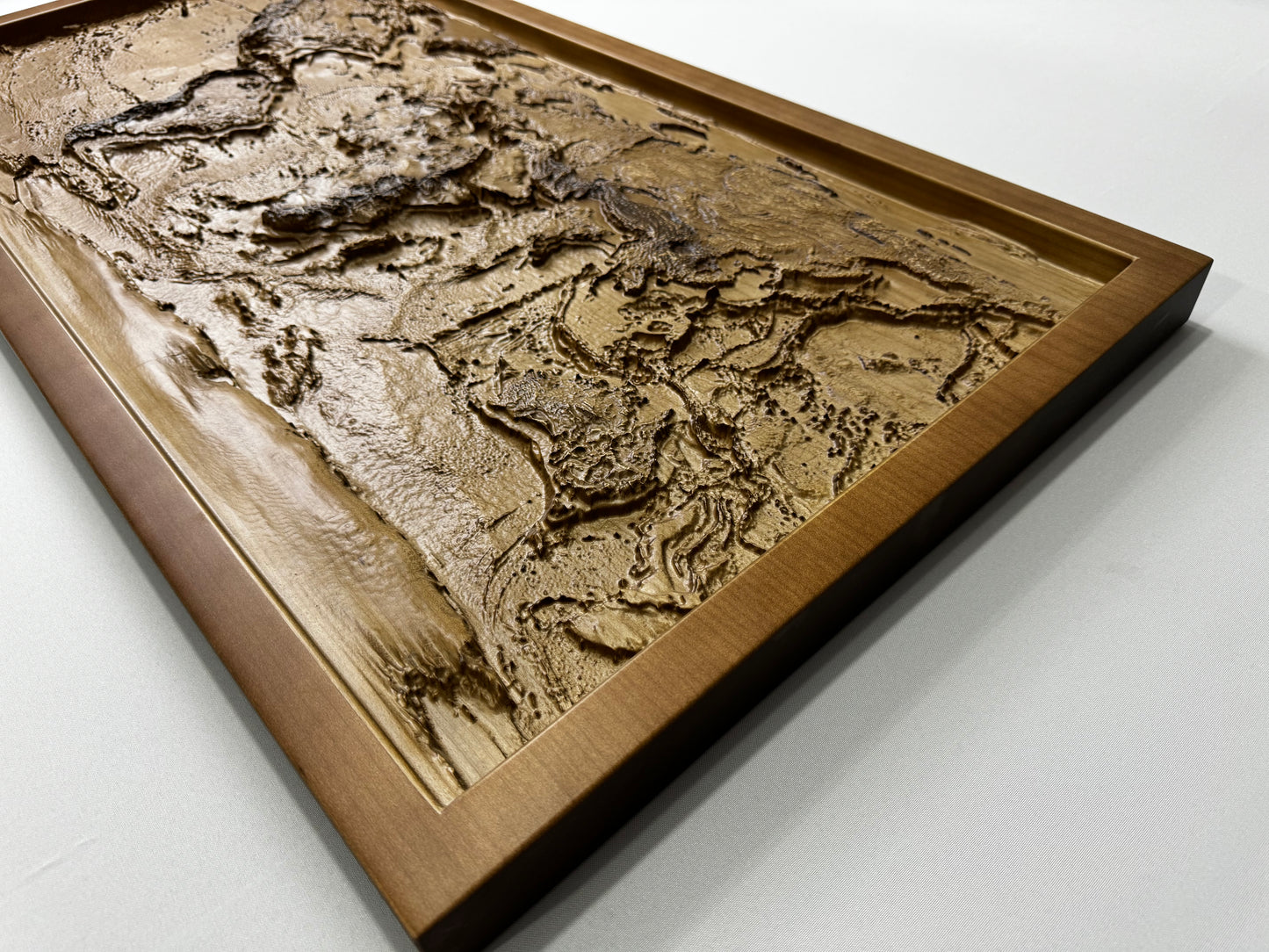 3D world map color Nut, Topographic map, 100x50x4 cm (39.4x19.7x2 in)