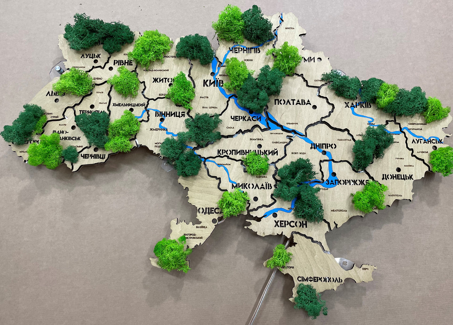 Ukraine LED map on acrylic glass with rivers, moss and backlighting  between regions color Oak