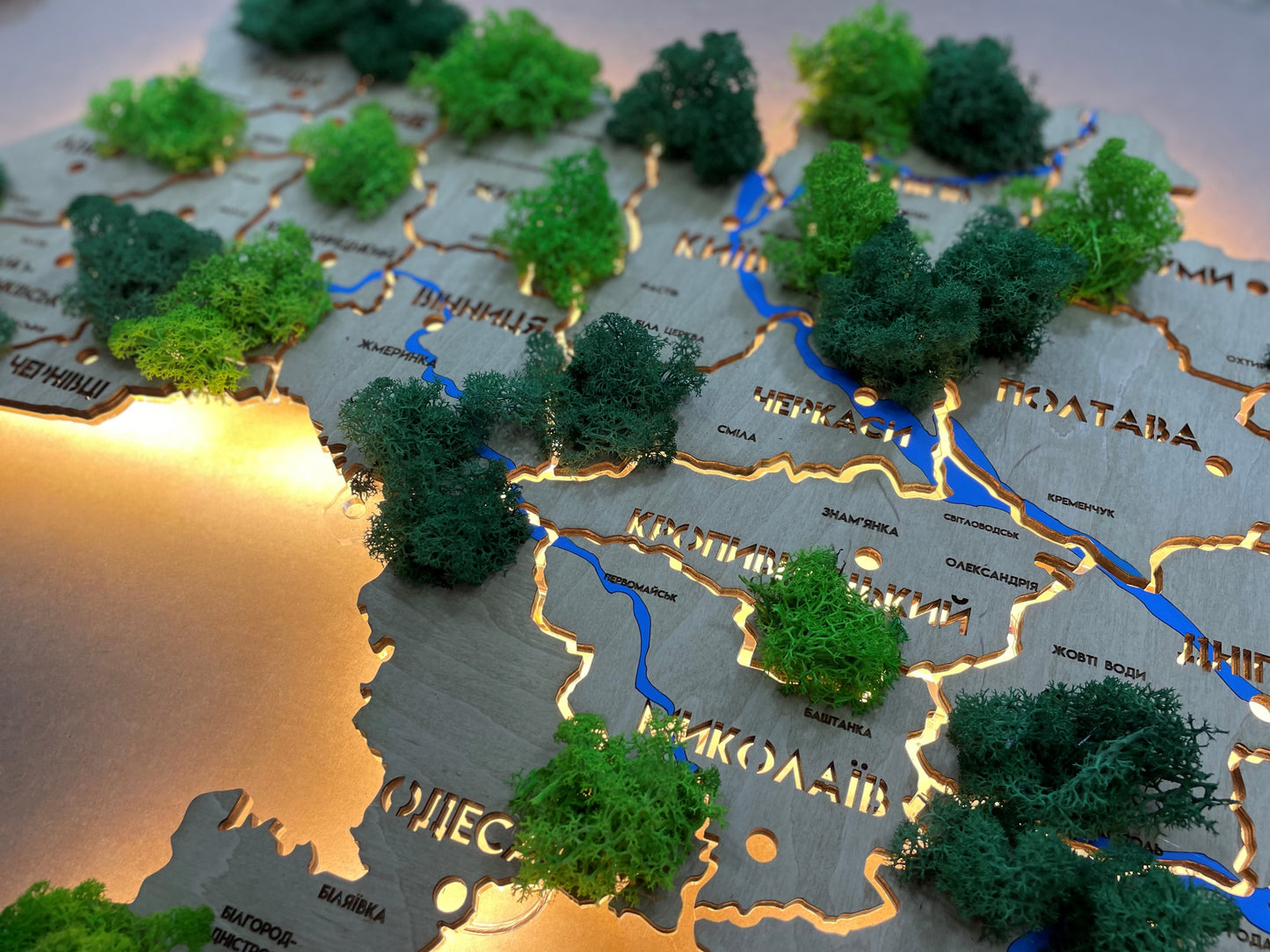 Ukraine LED map on acrylic glass with rivers, moss and backlighting  between regions color Oak