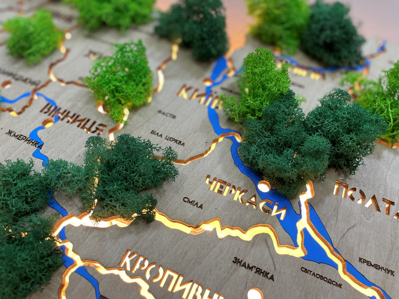 Ukraine LED map on acrylic glass with rivers, moss and backlighting  between regions color Oak