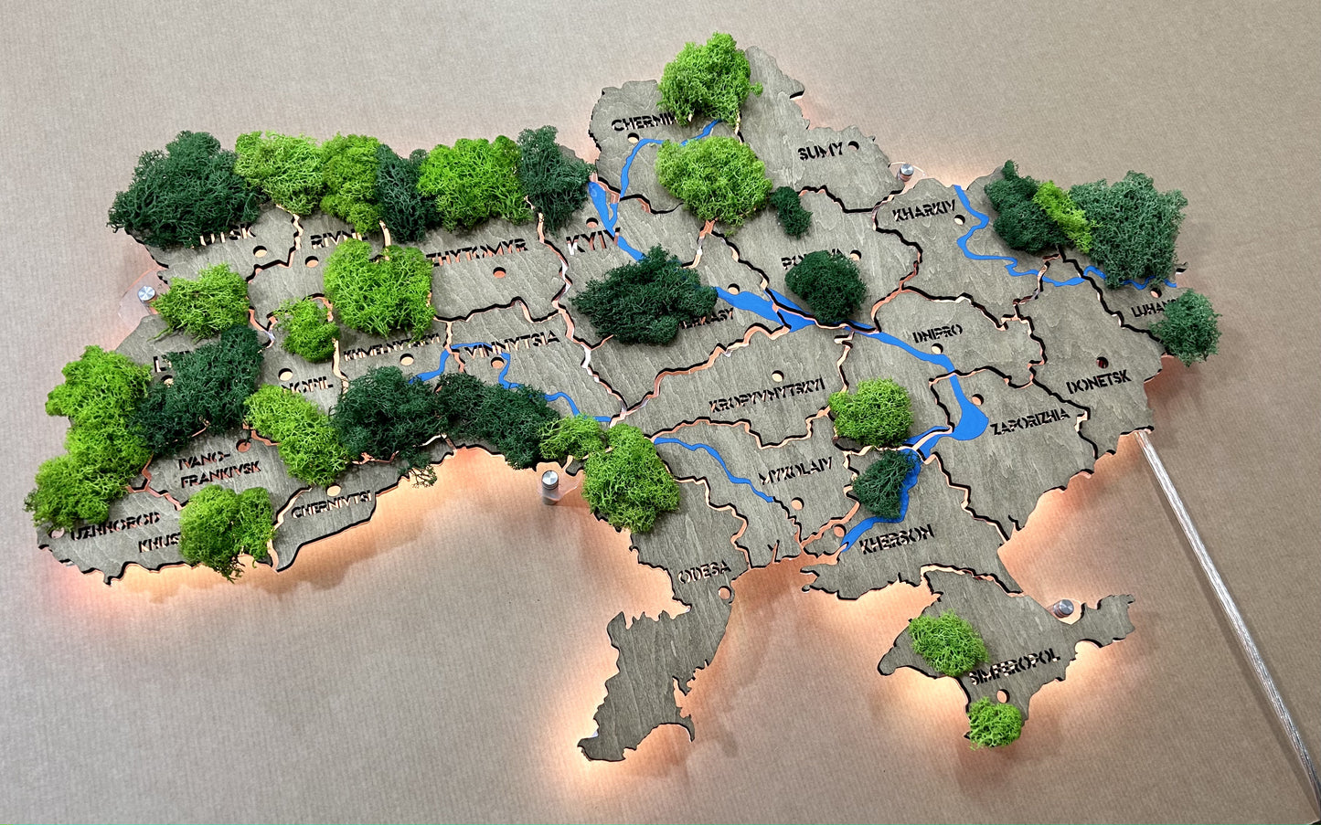 Ukraine LED map on acrylic glass with rivers, moss and backlighting  between regions color Venge 1