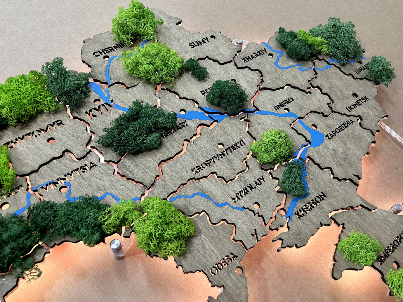 Ukraine LED map on acrylic glass with rivers, moss and backlighting  between regions color Venge 1