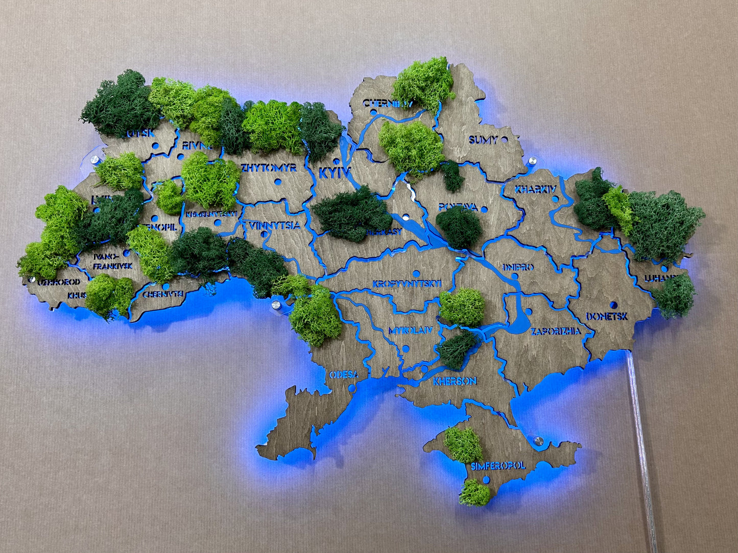 Ukraine RGB LED map on acrylic glass with rivers, moss and backlighting  between regions color Venge