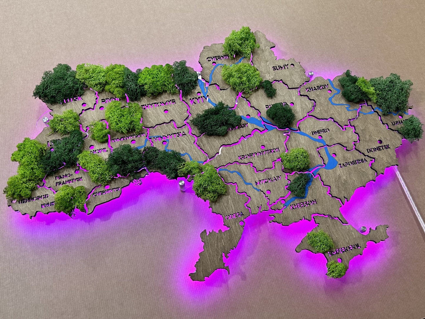 Ukraine RGB LED map on acrylic glass with rivers, moss and backlighting  between regions color Venge