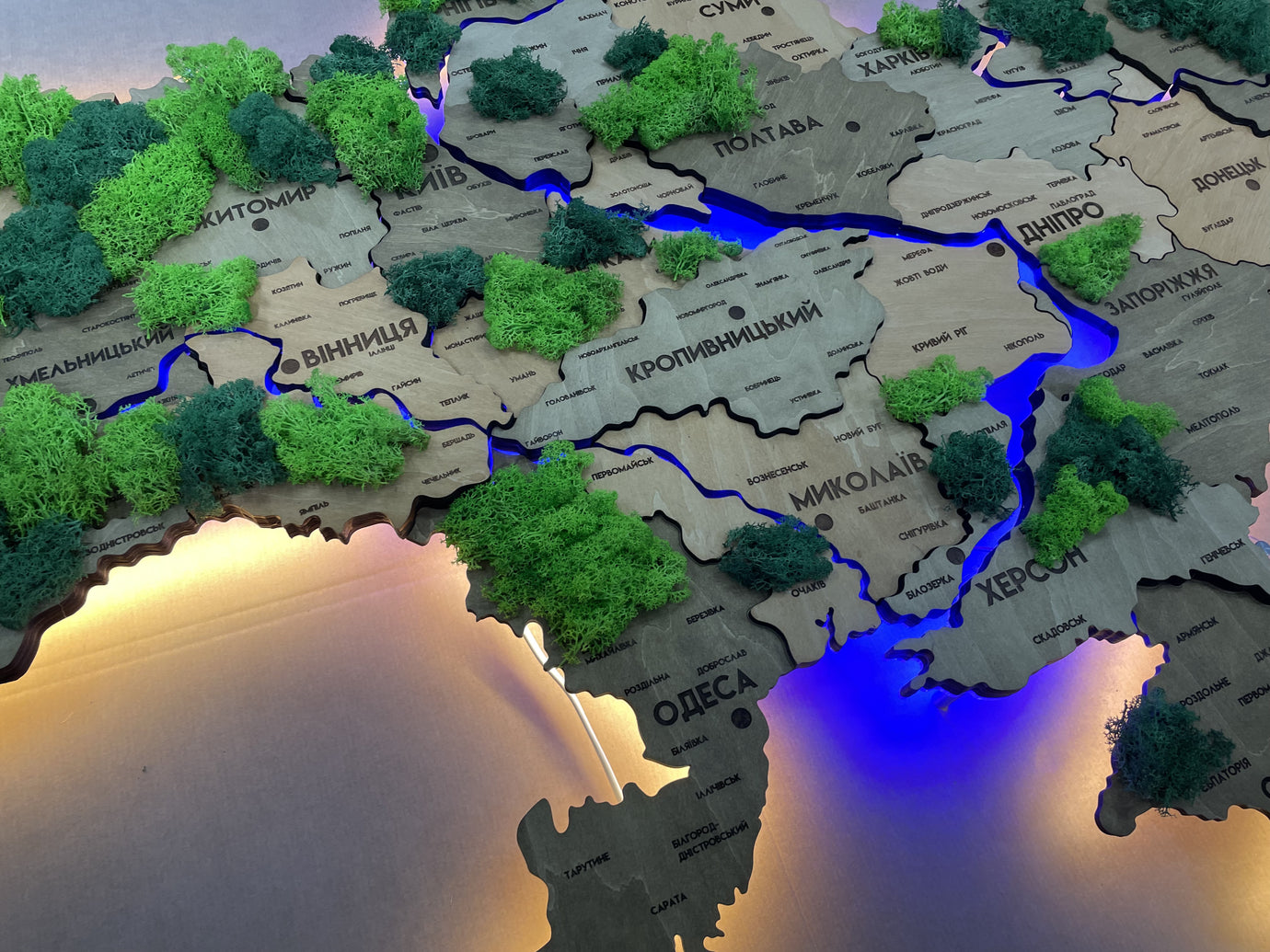Detailed multilayer Ukraine LED map with backlighting of rivers and moss color Light Tree