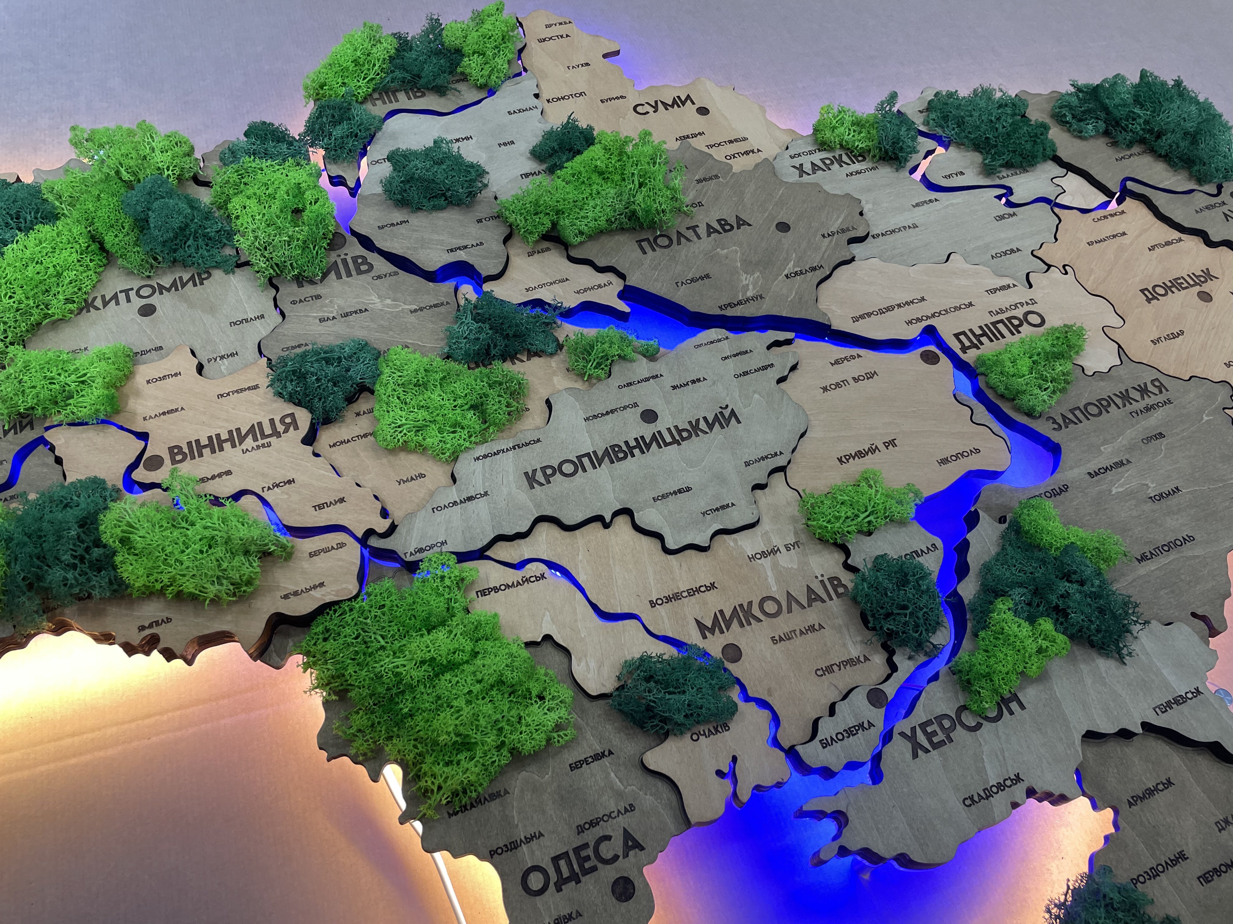 detailed-multilayer-ukraine-led-map-with-backlighting-of-rivers-and-moss-color-light-tree