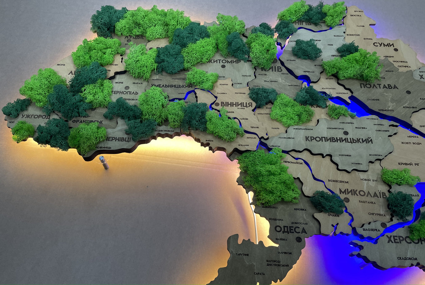 Detailed multilayer Ukraine LED map with backlighting of rivers and moss color Light Tree